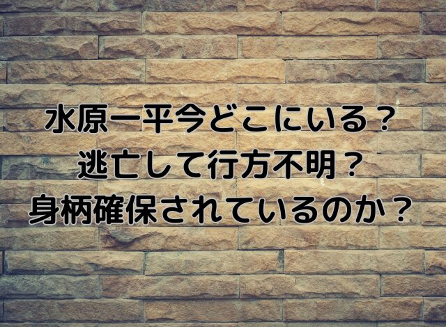 水原一平今どこにいる？逃亡して行方不明という噂を徹底調査！