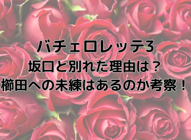 バチェロレッテ3坂口と別れた理由は？櫛田創への未練はあるのか考察！