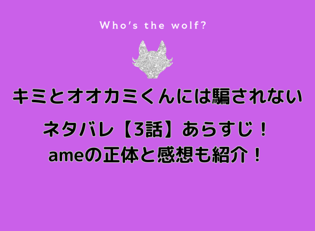 キミとオオカミくんには騙されないネタバレ3話あらすじ！ameの正体と感想も紹介！