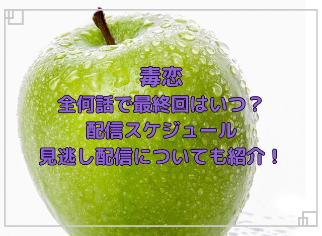 毒恋ドラマ全何話で最終回はいつ？放送地域と見逃し配信についても紹介！