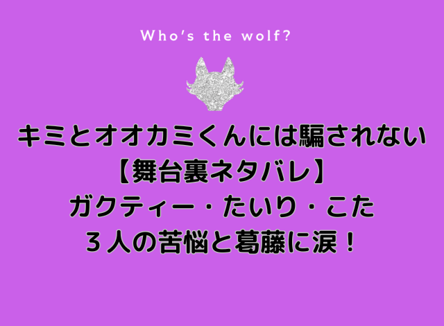 キミとオオカミくんには騙されない舞台裏ネタバレ・オオカミの苦悩と葛藤にメンバー涙！