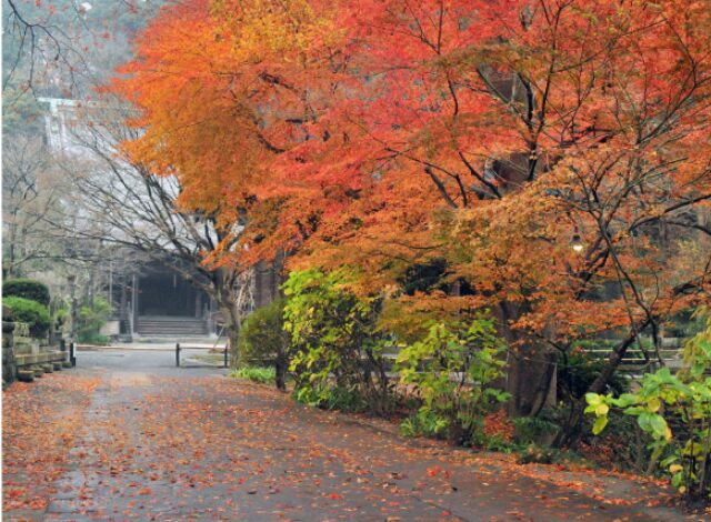 わかっていてもロケ地は鎌倉のどこ？大学やバーの撮影場所を調査！